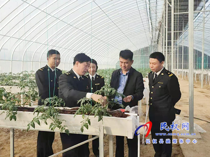 县委常委、副县长房季到双塔镇芦笋大棚产业园调研产业发展 县委常委、副县长房季到双塔镇芦笋大棚产业园调研产业发展