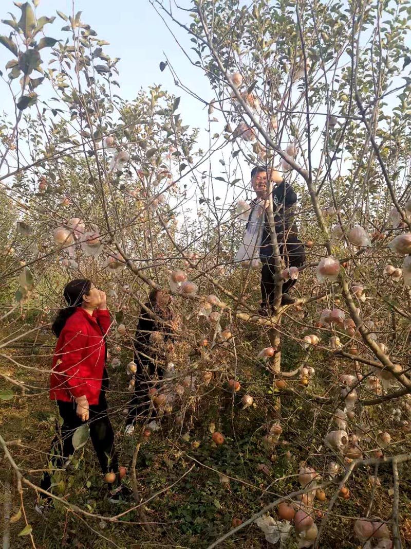 县住建局开展“以购代捐 消费扶贫”活动