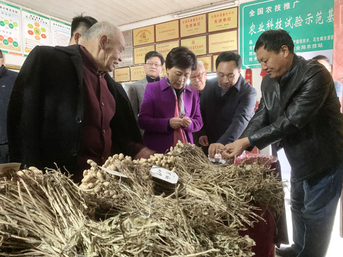 市委副书记陈向平到我县调研花生产业和高科技示范园发展情况 市委副书记陈向平到我县调研花生产业和高科技示范园发展情况