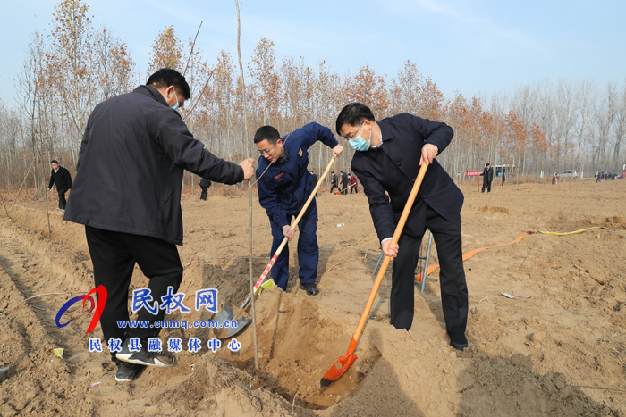 我县组织开展冬季义务植树活动 我县组织开展冬季义务植树活动