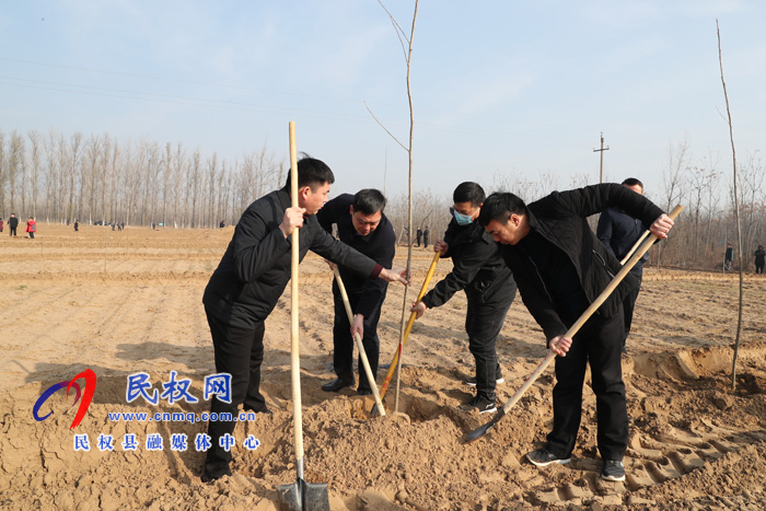 我县组织开展冬季义务植树活动 我县组织开展冬季义务植树活动