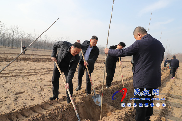 我县组织开展冬季义务植树活动 我县组织开展冬季义务植树活动