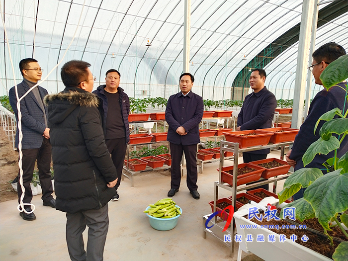 中国蔬菜流通协会到我县调研高效农业发展情况