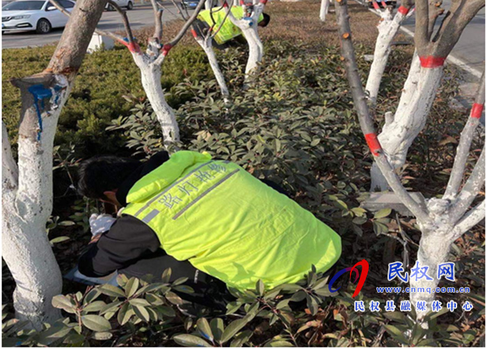 城管局路灯所:喜迎新春佳节,景观亮化先行 城管局路灯所:喜迎新春佳节,景观亮化先行