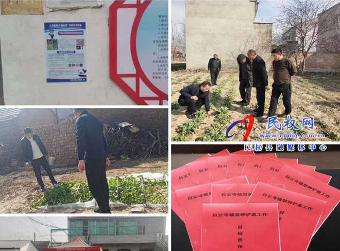 白云寺镇:多措并举全面排查,确保罂粟“零种植” 白云寺镇:多措并举全面排查,确保罂粟“零种植”