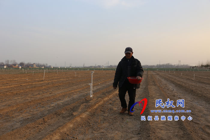 白云寺镇:香葱基地人备忙 白云寺镇:香葱基地人备忙