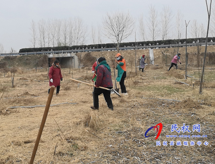 野岗镇:早春植好护路林 生态屏障一线绿 野岗镇:早春植好护路林 生态屏障一线绿