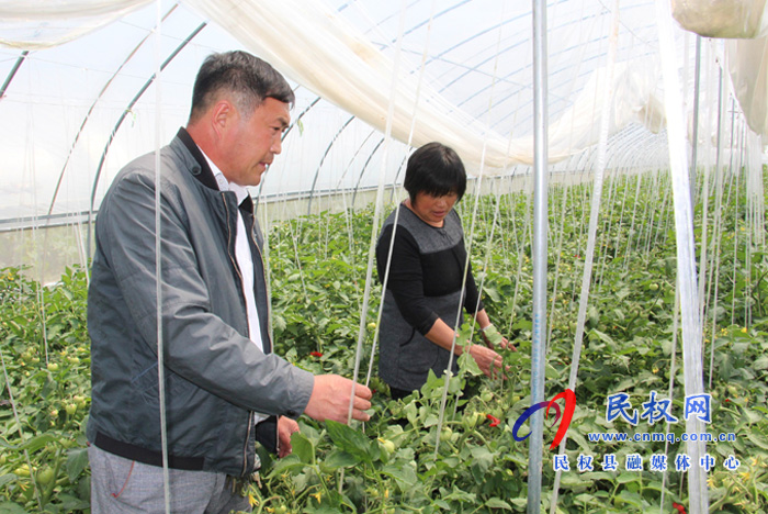 花园乡党员凝聚合力引领乡村振兴 花园乡党员凝聚合力引领乡村振兴
