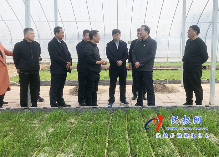 副市长曹月坤到民调研高标准农田建设和农业产业化工作