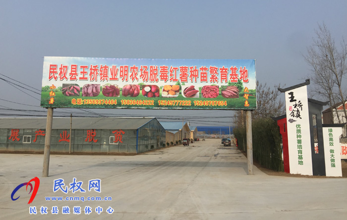 王桥镇业明家庭农场荣获“全国巾帼文明岗”称号 王桥镇业明家庭农场荣获“全国巾帼文明岗”称号