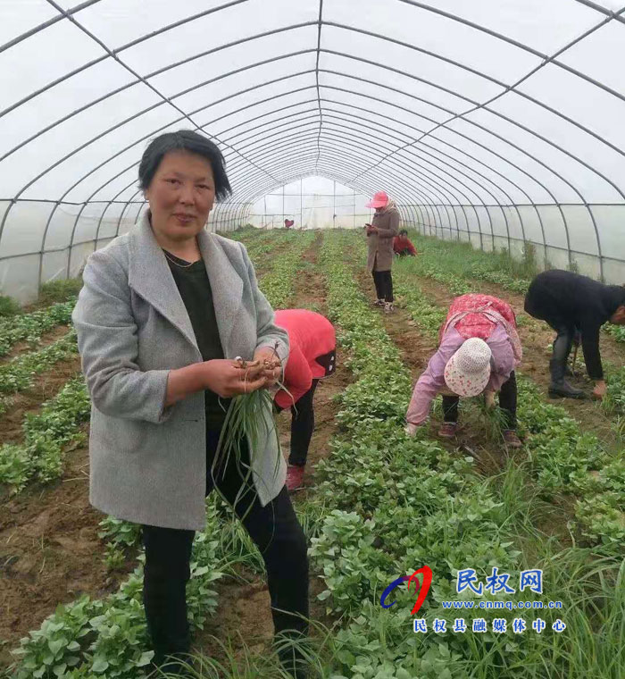 王桥镇业明家庭农场荣获“全国巾帼文明岗”称号 王桥镇业明家庭农场荣获“全国巾帼文明岗”称号