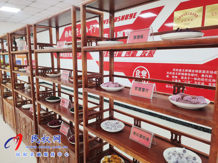 王桥镇业明家庭农场荣获“全国巾帼文明岗”称号 王桥镇业明家庭农场荣获“全国巾帼文明岗”称号