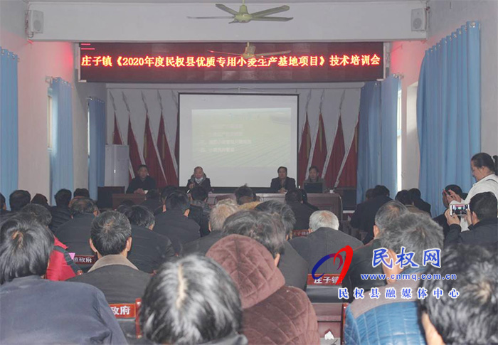 庄子镇举办优质专用小麦生产基地项目技术培训会 庄子镇举办优质专用小麦生产基地项目技术培训会