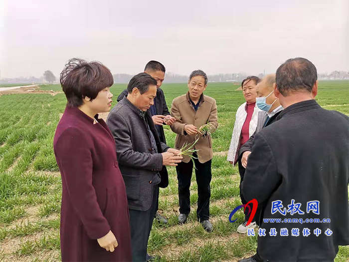 庄子镇举办优质专用小麦生产基地项目技术培训会 庄子镇举办优质专用小麦生产基地项目技术培训会