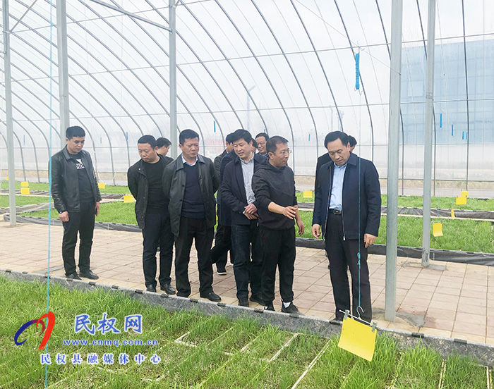 县委副书记蔡勇到双塔镇调研高效农业和红色教育基地建设情况