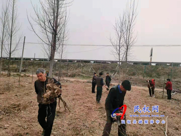 双塔镇积极开展植树造林工作 双塔镇积极开展植树造林工作