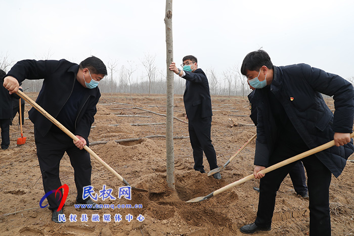 市县领导参加春季义务植树劳动