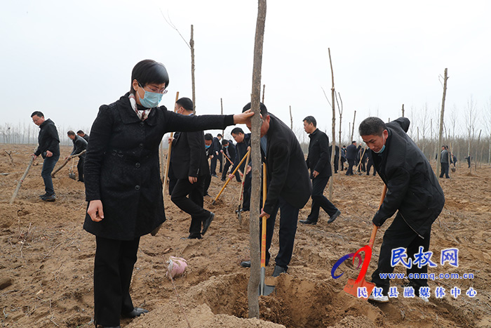 市县领导参加春季义务植树劳动 市县领导参加春季义务植树劳动