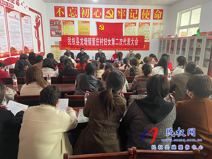 全县村（社区）妇联组织换届工作观摩会举行