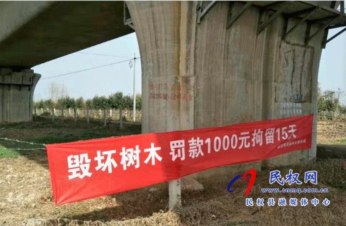林业发展服务中心开展打击破坏森林资源专项行动 林业发展服务中心开展打击破坏森林资源专项行动