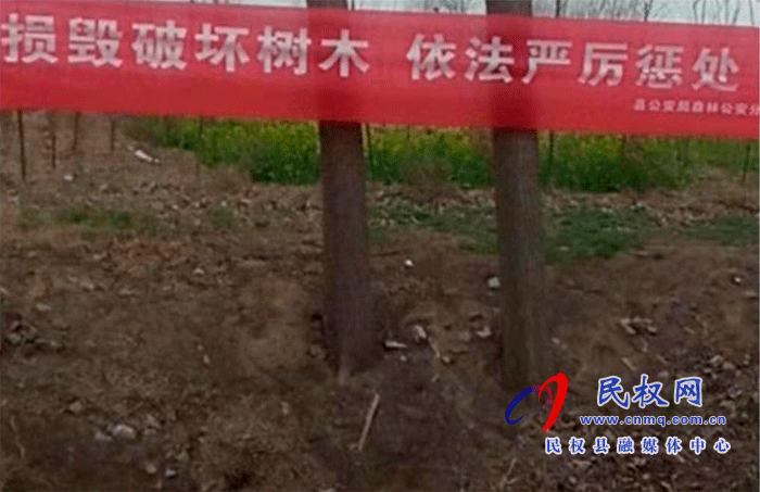 林业发展服务中心开展打击破坏森林资源专项行动 林业发展服务中心开展打击破坏森林资源专项行动
