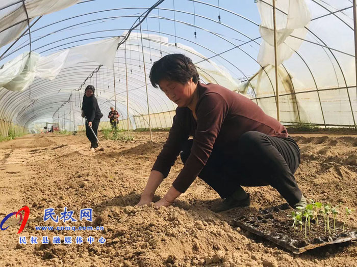 孙六镇:大棚春种春耕忙生产 孙六镇:大棚春种春耕忙生产