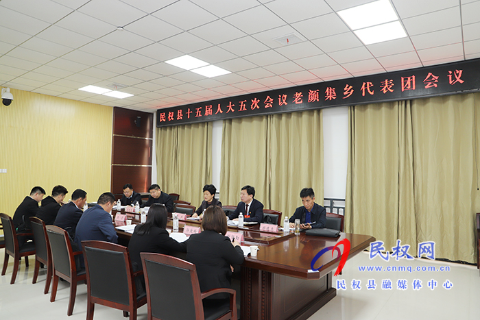 县人大常委会主任周燕参加老颜集乡代表团审议
