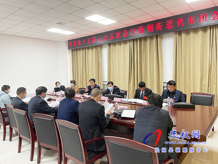 绿洲街道代表团审议《政府工作报告》等六个报告 绿洲街道代表团审议《政府工作报告》等六个报告