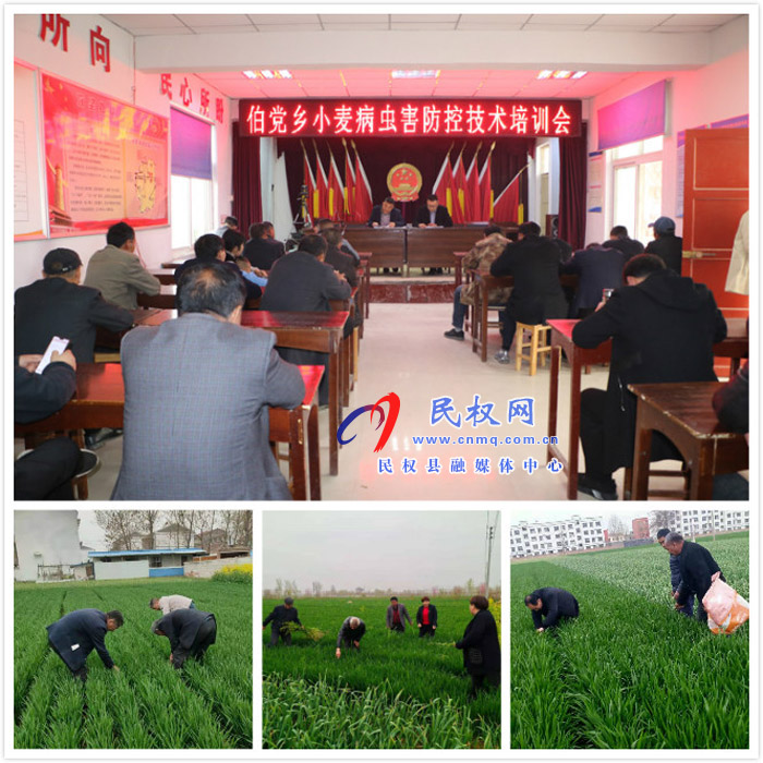 伯党乡举办小麦病虫害防控技术培训会 伯党乡举办小麦病虫害防控技术培训会
