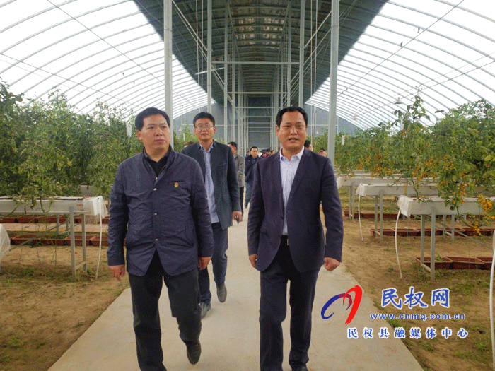  市农业经济作物技术推广中心主任张传红一行到双塔镇调研