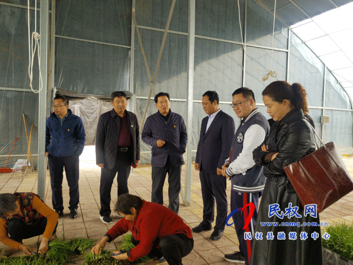  市农业经济作物技术推广中心主任张传红一行到双塔镇调研