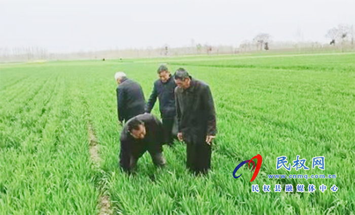 野岗镇:要想小麦收成好,预防条锈赤霉少不了 野岗镇:要想小麦收成好,预防条锈赤霉少不了
