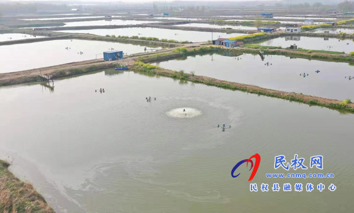 庄子镇:万亩黄河故道背河洼地美不胜收 庄子镇:万亩黄河故道背河洼地美不胜收