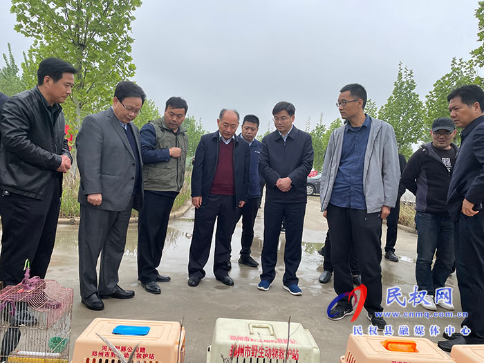 河南省2021年“爱鸟周”活动启动仪式暨民权现场会在民举行 河南省2021年“爱鸟周”活动启动仪式暨民权现场会在民举行