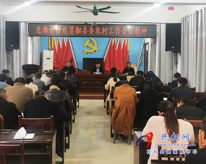 龙塘镇:传达贯彻县委农村工作会议精神 龙塘镇:传达贯彻县委农村工作会议精神