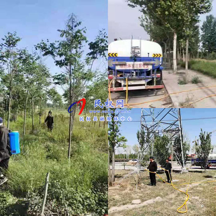 南华办事处:加强花木管护打造优美生态环境提升群众幸福感 南华办事处:加强花木管护打造优美生态环境提升群众幸福感