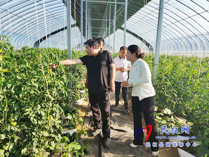 副县长陈进领到双塔镇调研高效农业科技产业园建设发展情况 副县长陈进领到双塔镇调研高效农业科技产业园建设发展情况
