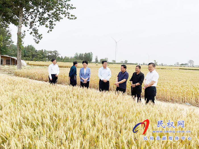 市人大副主任王琦到我县程庄镇江集村开展“三五”基层工作日活动 市人大副主任王琦到我县程庄镇江集村开展“三五”基层工作日活动