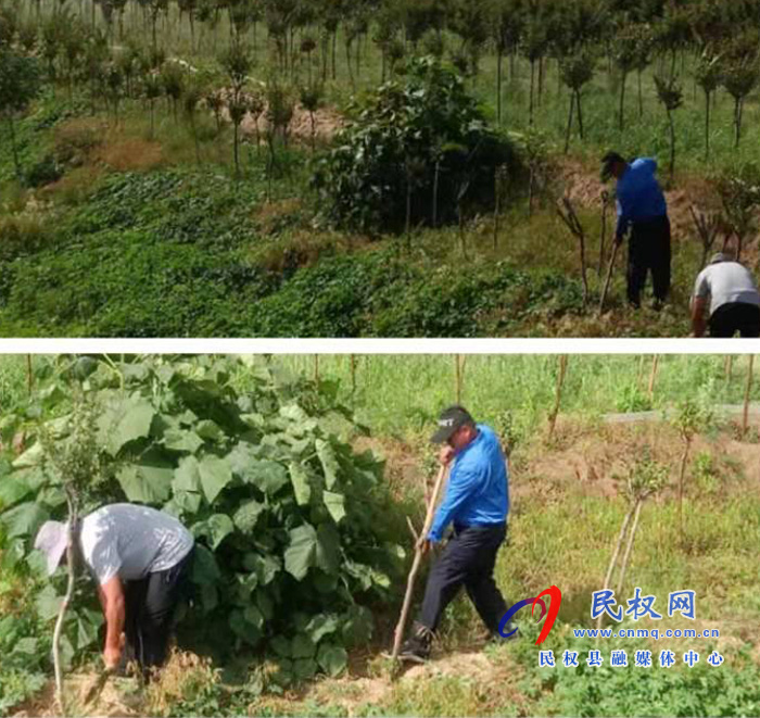 【我为群众办实事】我为群众办实事 共建绿色美好家园 【我为群众办实事】我为群众办实事 共建绿色美好家园