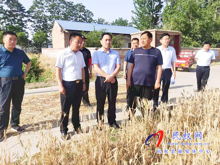 县委副书记蔡勇查看三夏生产和高效农业示范区建设情况