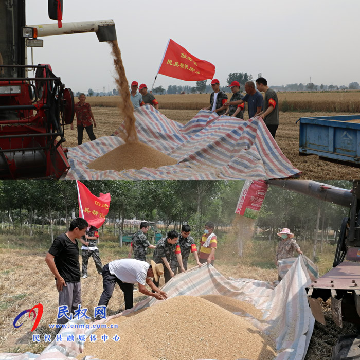 伯党乡：活跃在“三夏”生产一线的基干民兵帮扶队