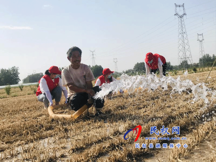 孙六镇夏收夏种同步推进