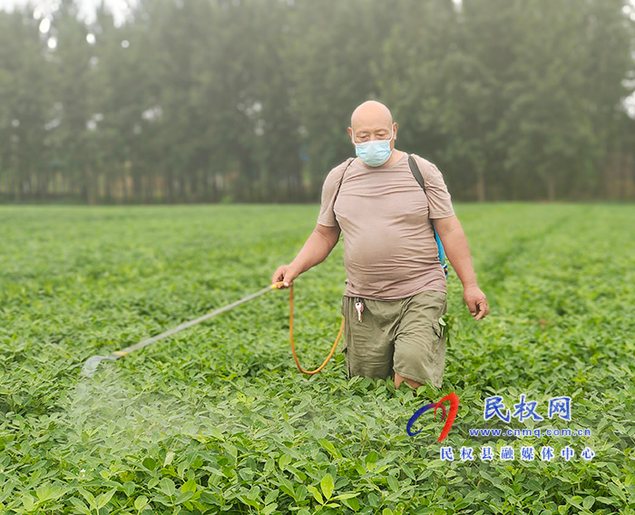 双塔镇:抓好田间管理 确保秋粮丰收 双塔镇:抓好田间管理 确保秋粮丰收