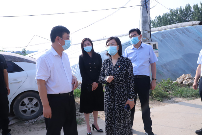 市政府副秘书长闫全伟到我县查看疫情防控工作情况 市政府副秘书长闫全伟到我县查看疫情防控工作情况