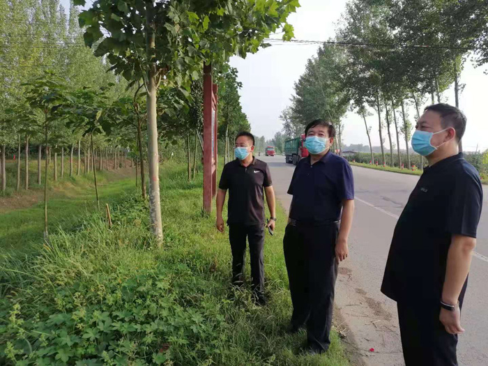 副县长陈进领到王桥镇开展巡河并指导防汛工作 副县长陈进领到王桥镇开展巡河并指导防汛工作