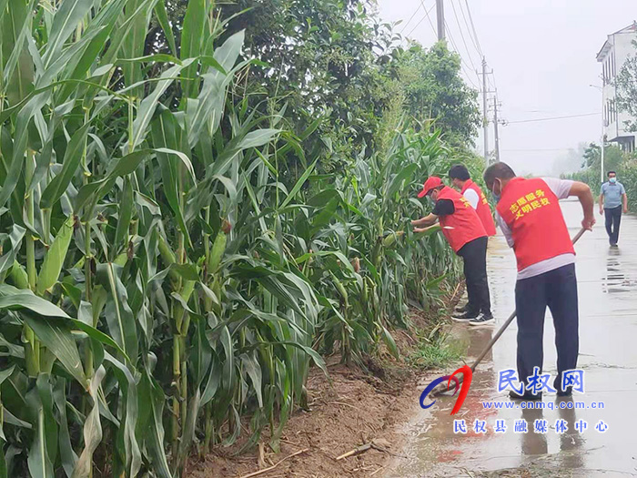 林七乡:党员帮扶群众雨后农田排涝 林七乡:党员帮扶群众雨后农田排涝