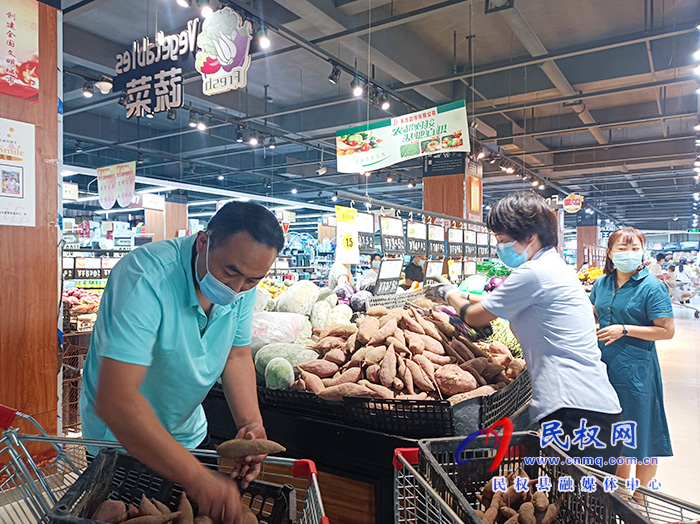 民权:红薯滞销菜农愁 爱心企业来解忧 民权:红薯滞销菜农愁 爱心企业来解忧