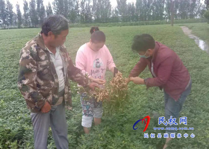 双塔镇:做好秋作物雨后田间管理工作 双塔镇:做好秋作物雨后田间管理工作