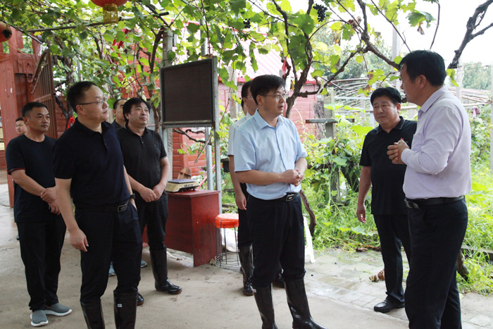 县委书记张团结调研我县乡村振兴和农村人居环境整治工作 县委书记张团结调研我县乡村振兴和农村人居环境整治工作
