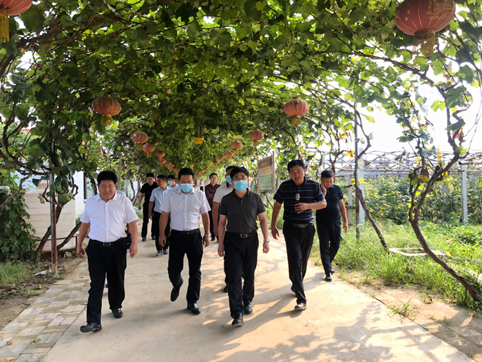 阜宁县考察组到我县考察农村文旅工作 阜宁县考察组到我县考察农村文旅工作